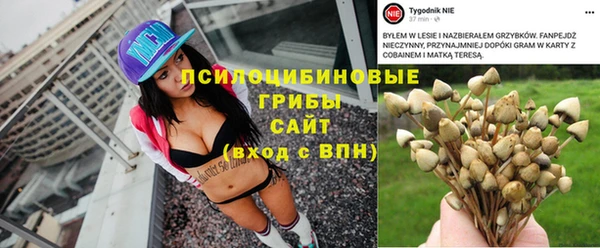 молекула духа Алзамай