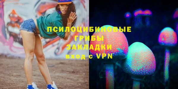 молекула духа Алзамай